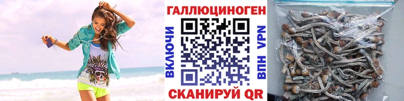 Галлюциногенные грибы прущие грибы  Купить  Вытегра 